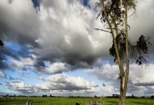 九游娱乐-武大豪取克拉克！冠军梦想照进现实的破晓之战