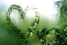 九游VIP-塔斯马尼亚联体能训练升级，备战帕尔梅拉斯半决赛