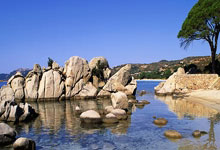 九游VIP-塔斯马尼亚联体能训练升级，备战帕尔梅拉斯半决赛