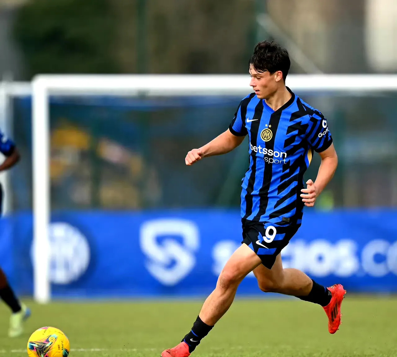 帕尔马遭遇重大伤病危机,球队形势堪忧的简单介绍 帕尔马遭遇重大伤病危机,球队形势堪忧的简单介绍