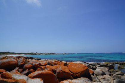 大洋洲篮球赛掀起热潮,小众高手逆袭登顶 大洋洲篮球赛掀起热潮,小众高手逆袭登顶
