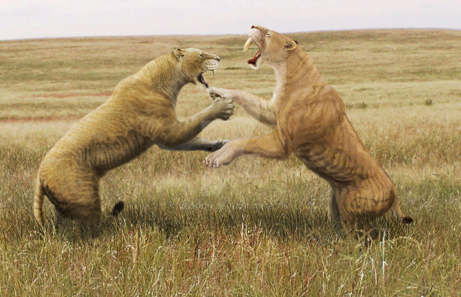 南美洲篮球巅峰之争悬念迭起 南美洲篮球巅峰之争悬念迭起