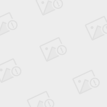 斯洛伐克与威尔士踢平,鏖战不下 斯洛伐克与威尔士踢平,鏖战不下