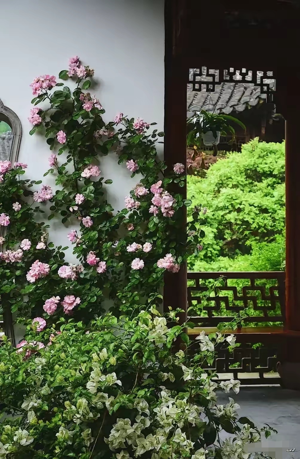 宛转袅微花似,一寸破红穿浅紫的简单介绍 宛转袅微花似,一寸破红穿浅紫的简单介绍