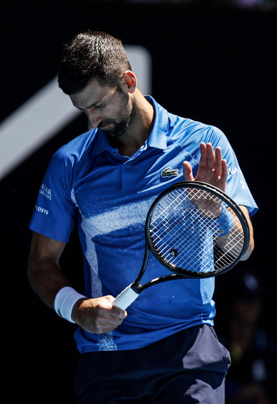 澳网完胜法网,穆雷刷新纪录 澳网完胜法网,穆雷刷新纪录