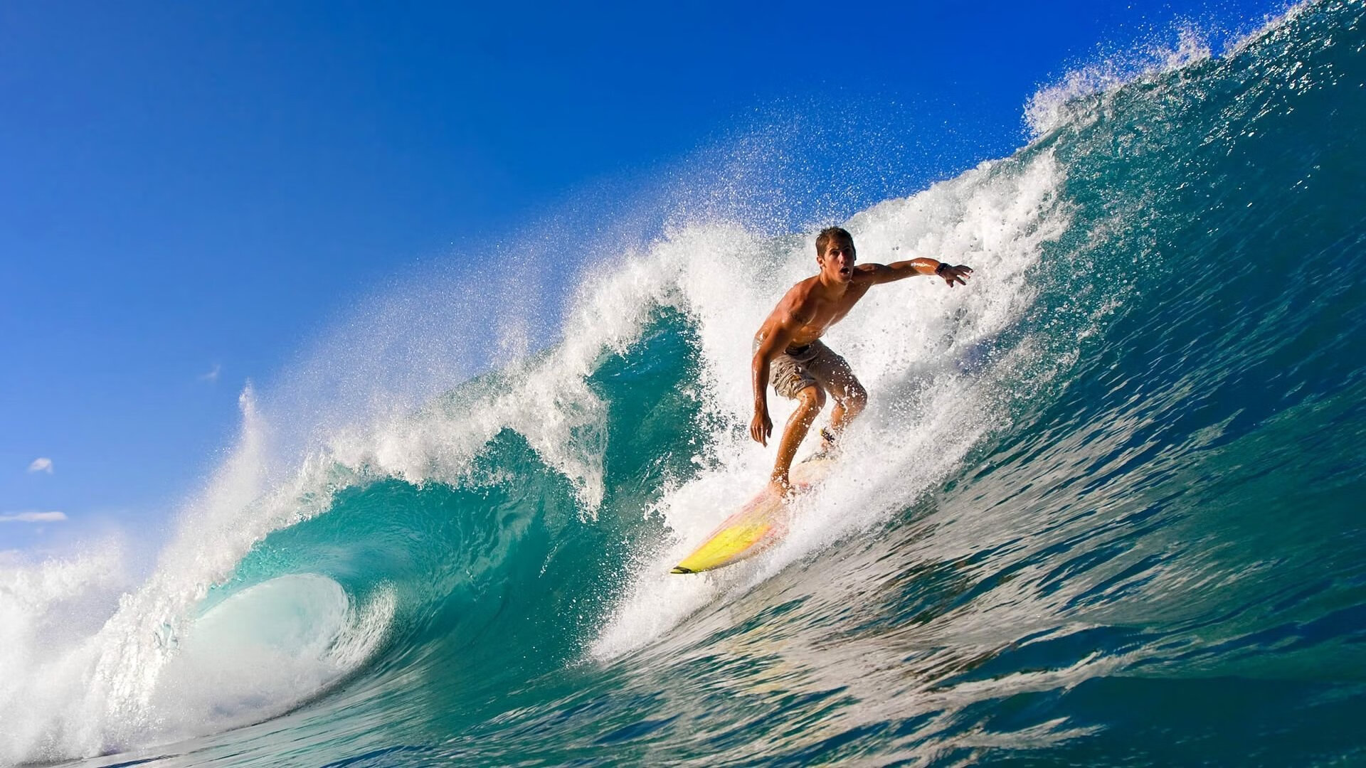 唯一血脉，当蒂亚戈点燃里昂，爱尔兰的城墙便轰然倒塌