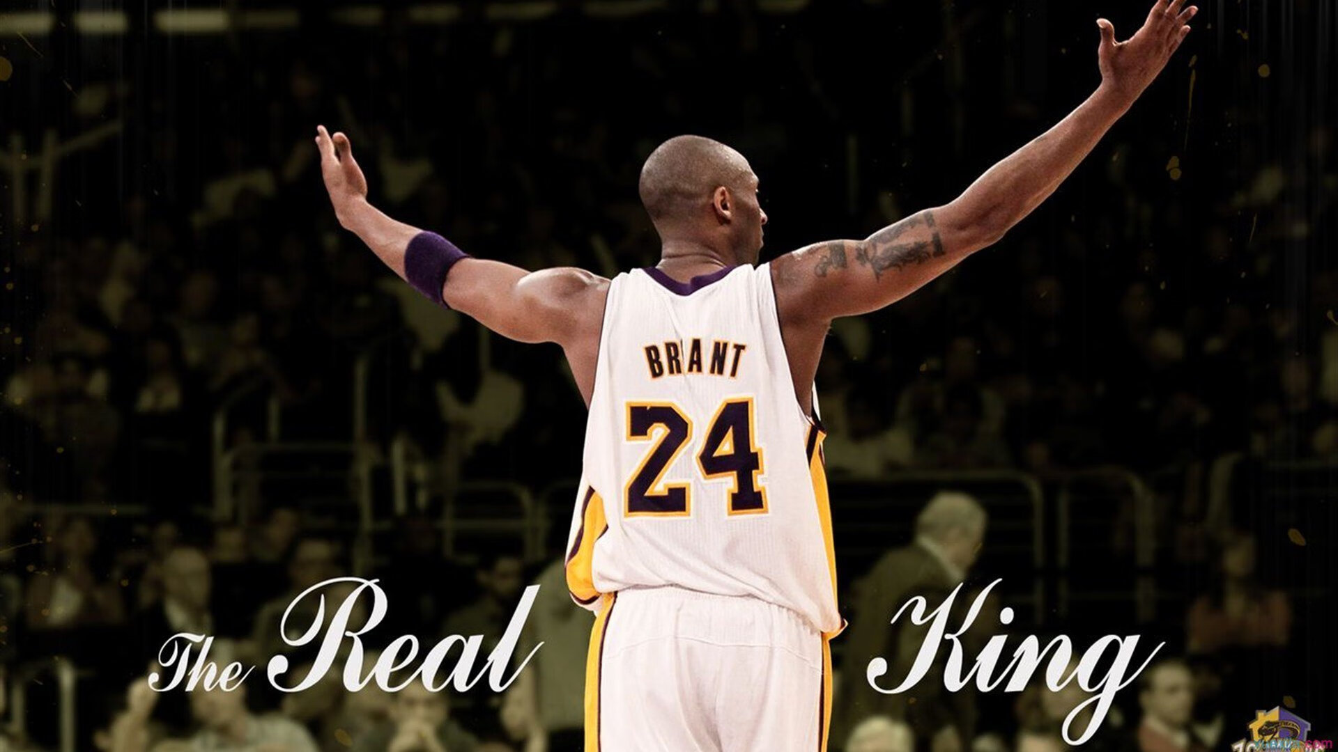 轻取与奇迹，黄鸭组合带队取胜